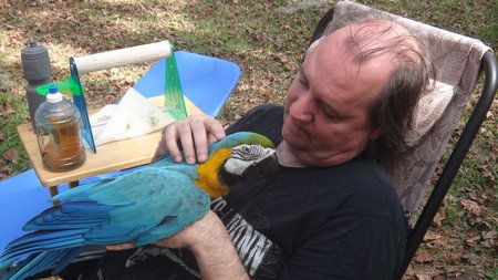 parrot rescue virginia beach